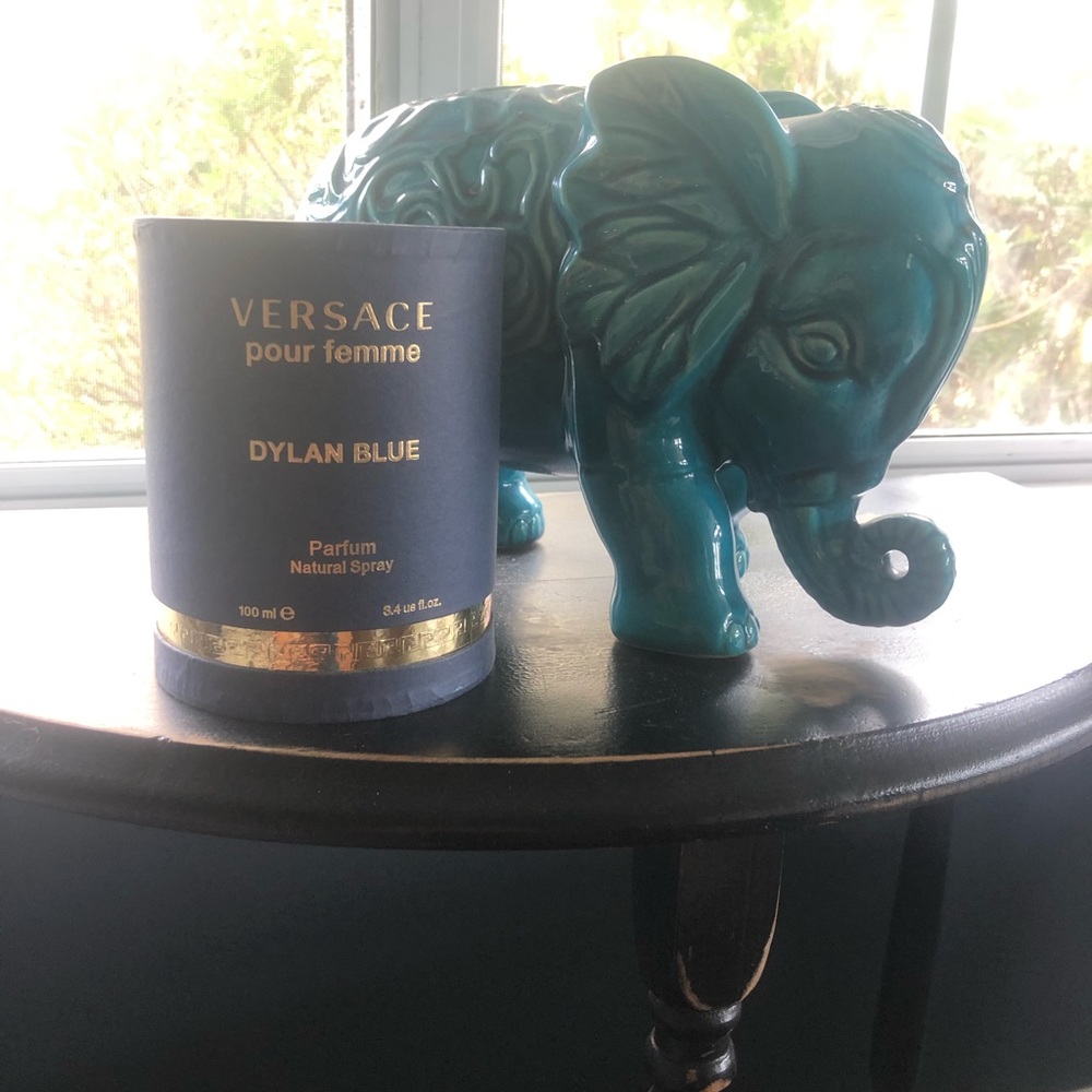 Versace Dylan Blue